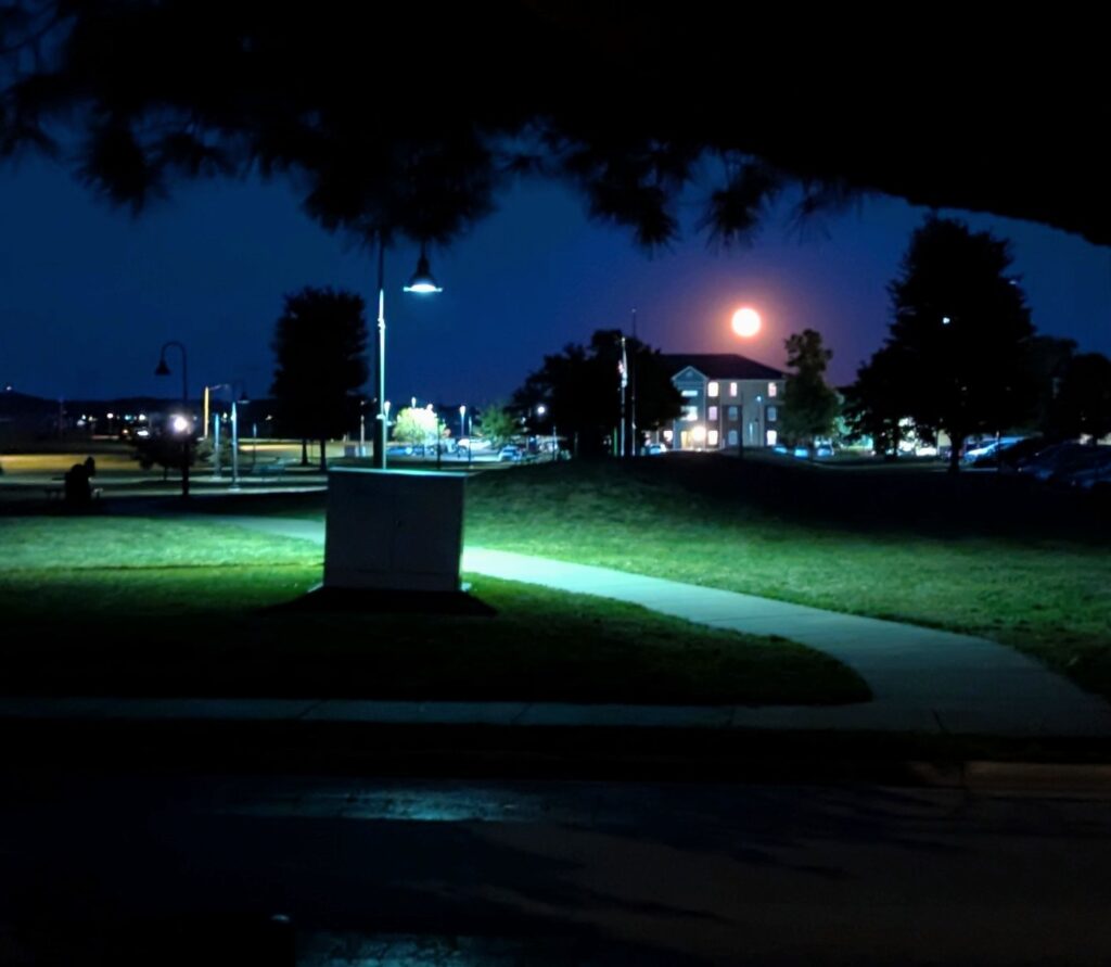 Lunleviĝo super parko